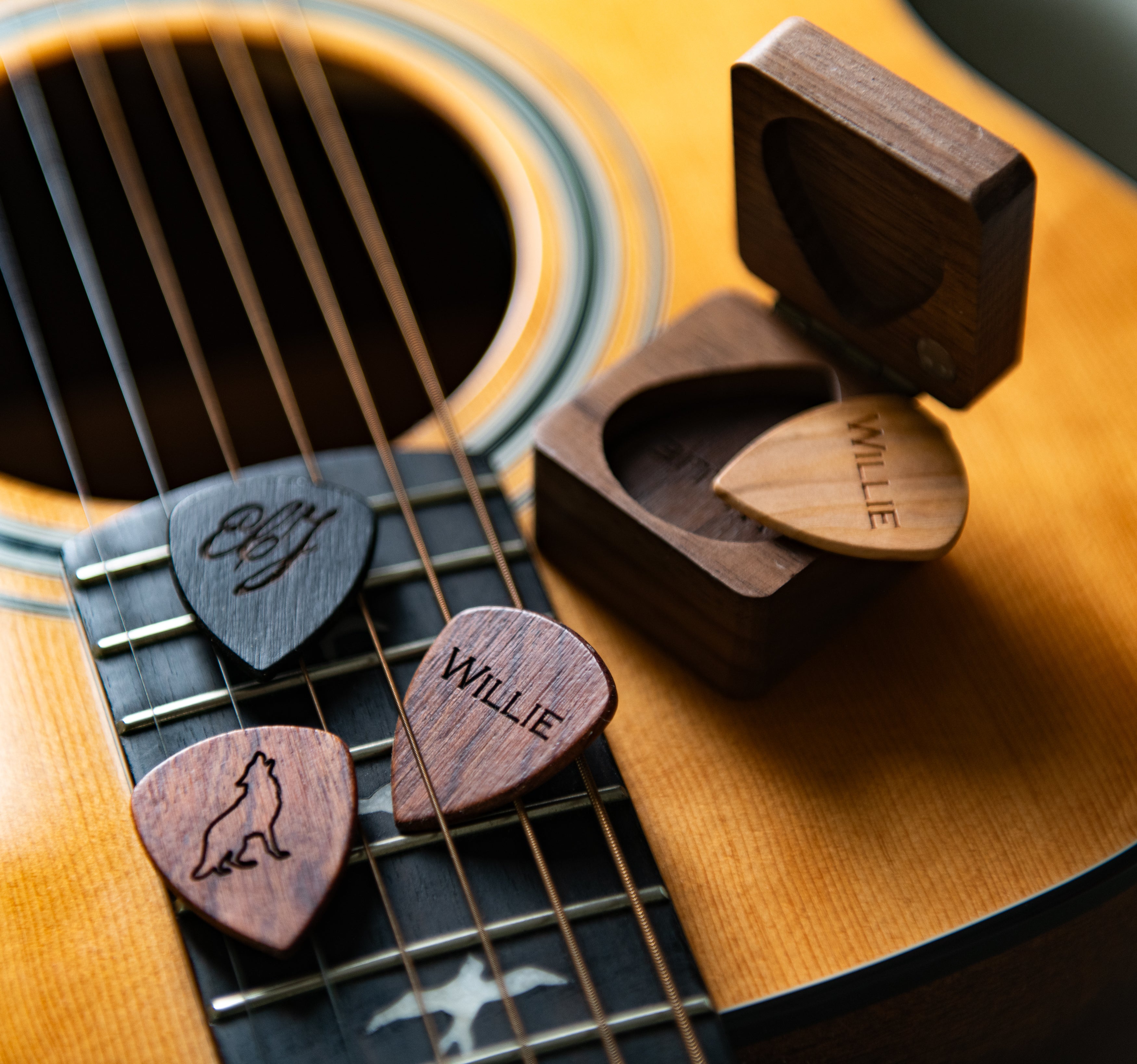Personalized Guitar Picks with Case