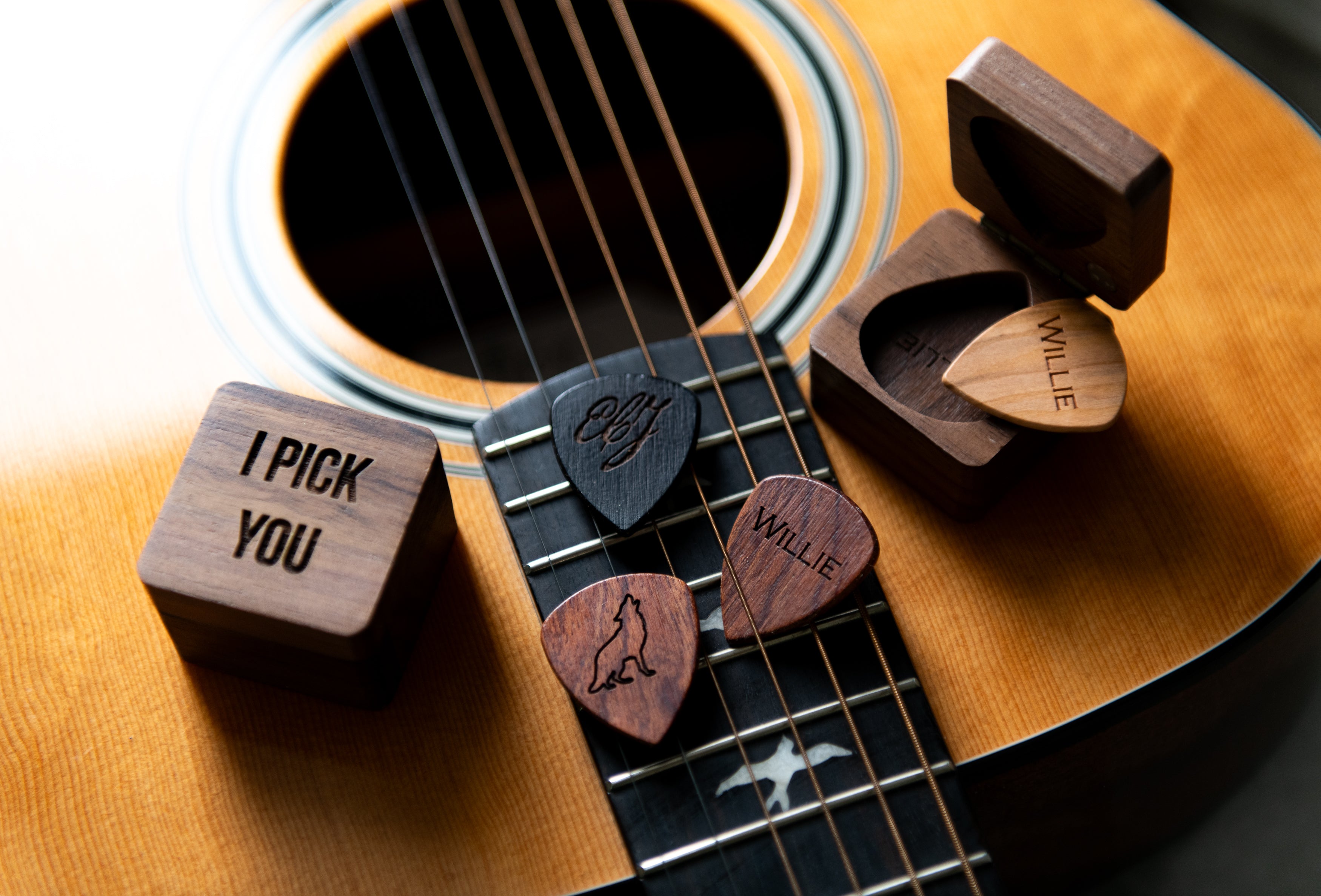 Personalized Guitar Picks with Case