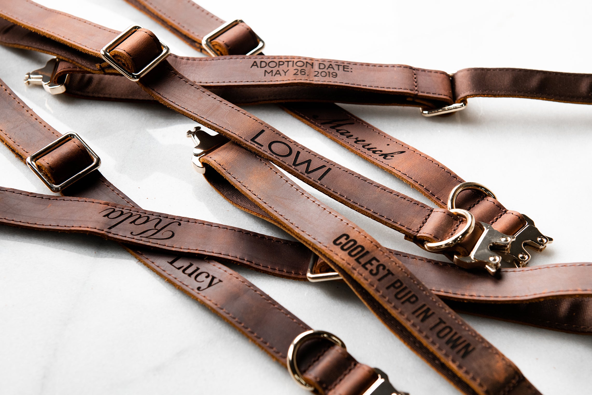 Personalized Distressed Leather and Kevlar Dog Collar and Leash Set