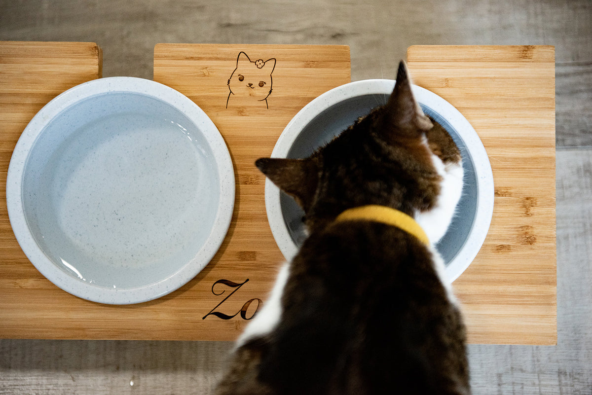 Personalized Wood Pet Bowl Stands