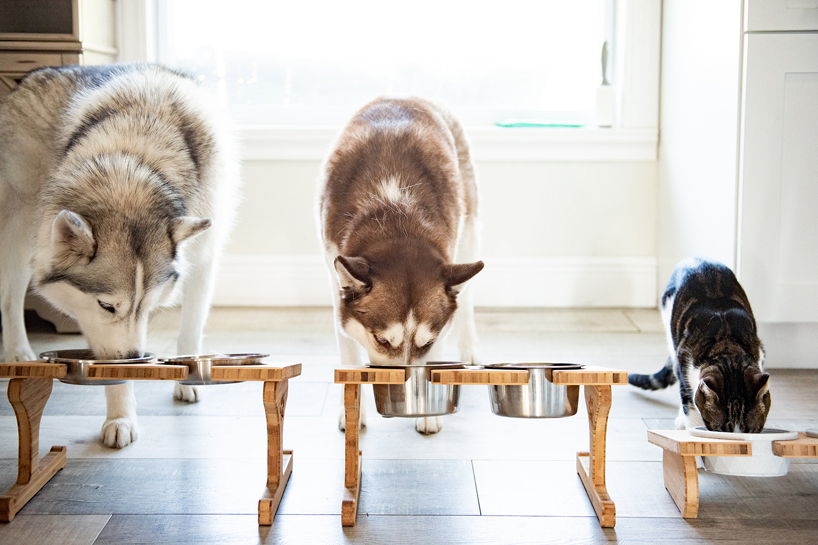 Personalized Wood Pet Bowl Stands
