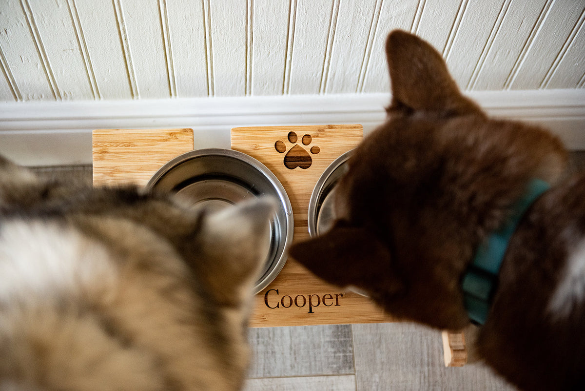 Personalized Wood Pet Bowl Stands