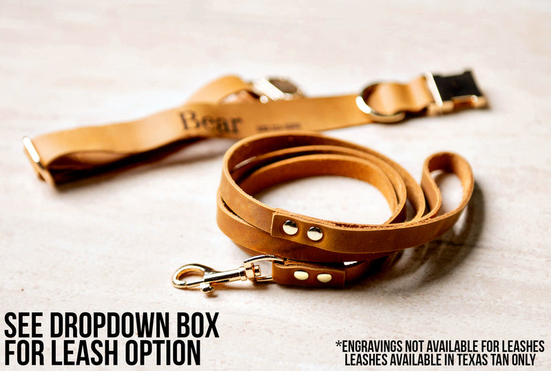 Distressed Leather Dog Collar and Leash