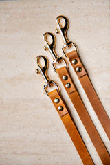 Distressed Leather Dog Collar and Leash